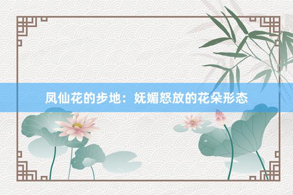 凤仙花的步地：妩媚怒放的花朵形态
